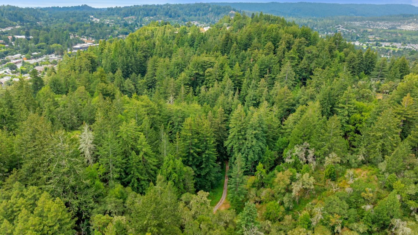 27 Willis Road Scotts Valley, CA 95066 - Photo 12 of 18