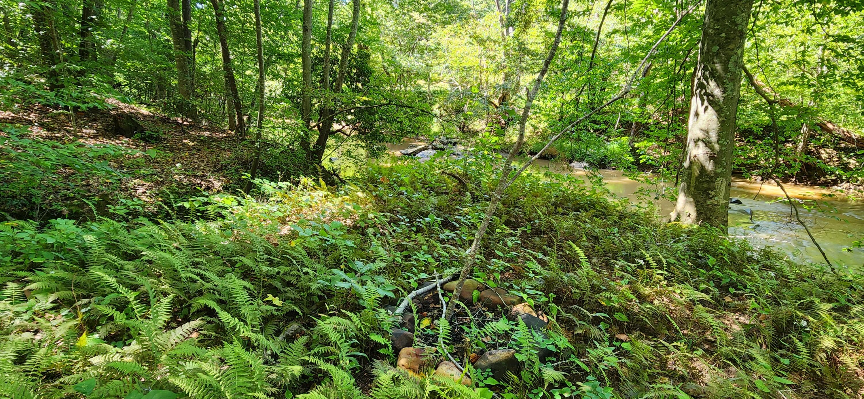 0 Cooks Knob Road Ferrum, VA 24088 - Photo 6 of 10 20230908_143339