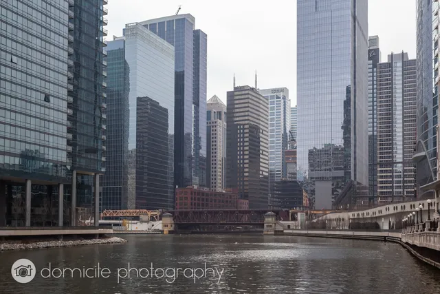 a outdoor view with a sitting space and large trees