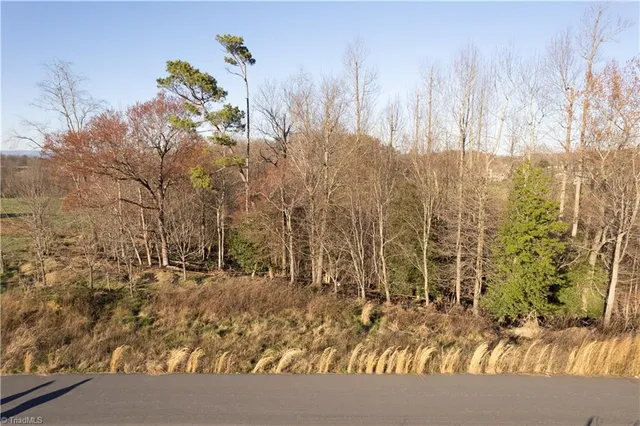 $2,874,317 | Tbd1 Town N Country Drive, Wilkesboro, NC 28697