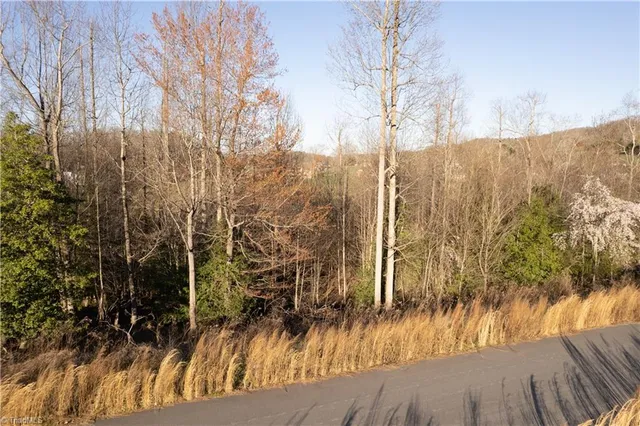 $2,874,317 | Tbd1 Town N Country Drive, Wilkesboro, NC 28697