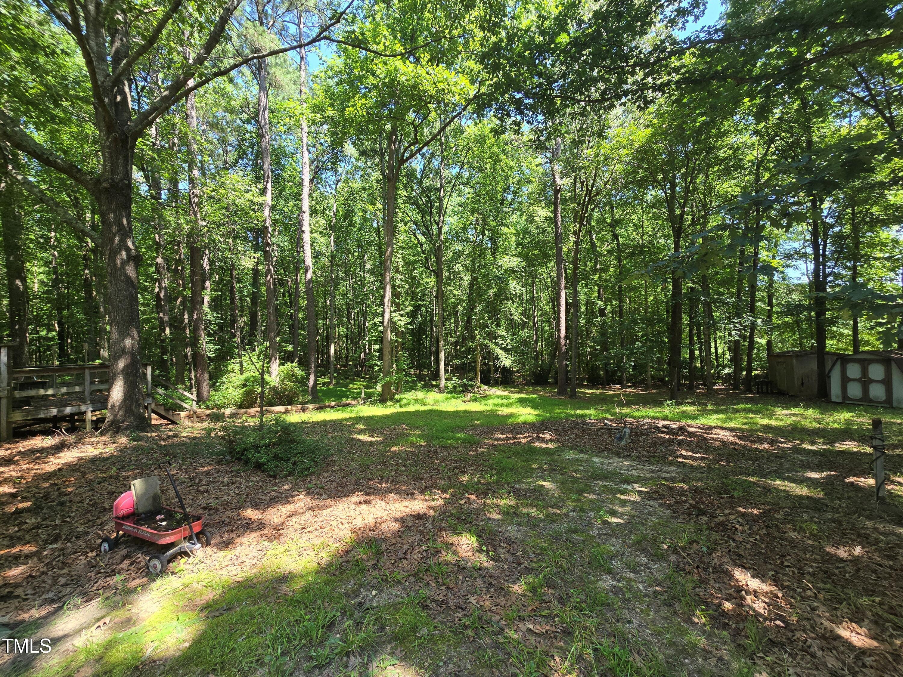 1337 Carroll Heights Road Zebulon, NC 27597 - Photo 2 of 9 a view of a park that has large trees