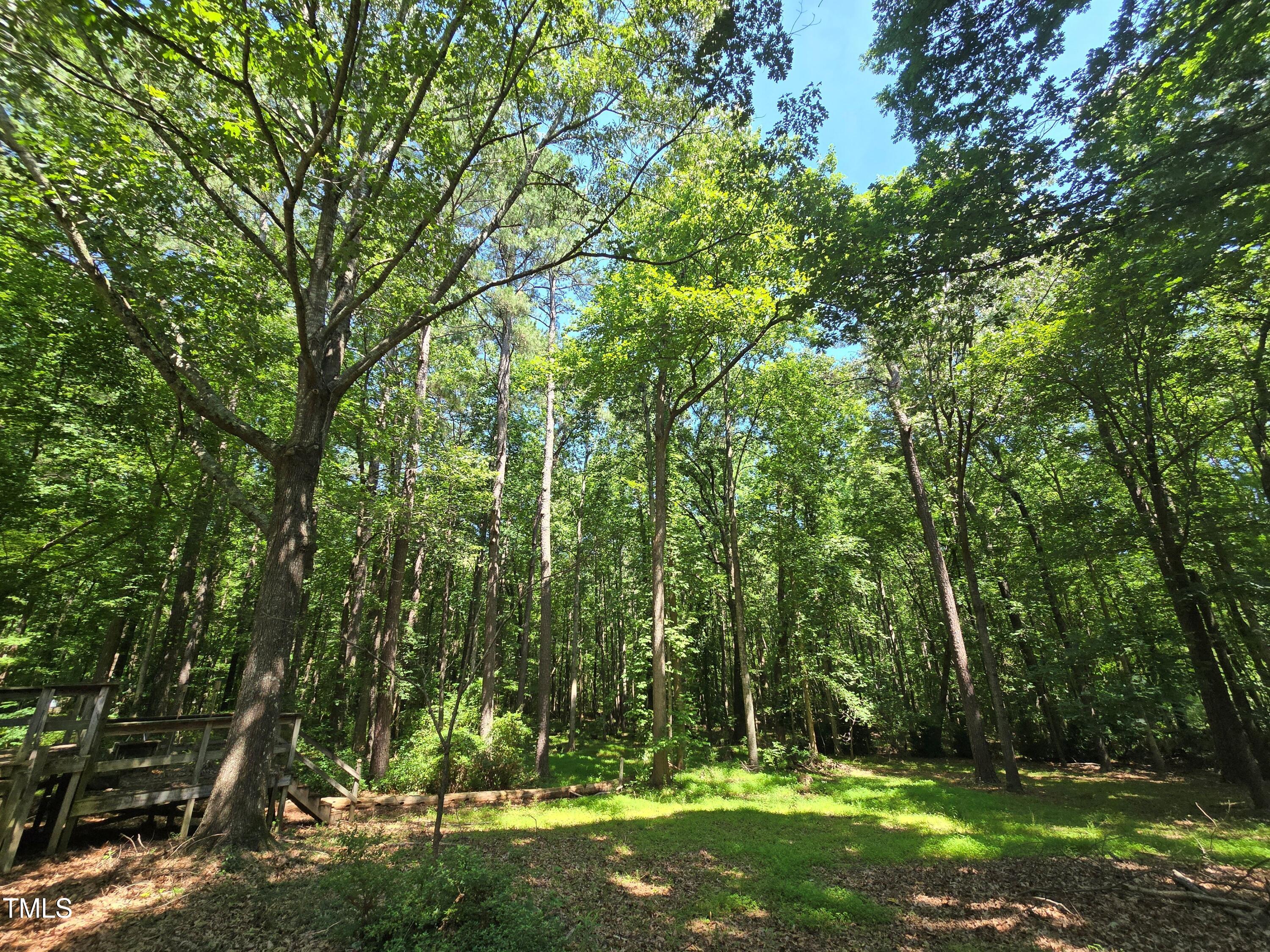 1337 Carroll Heights Road Zebulon, NC 27597 - Photo 3 of 9 a view of a park