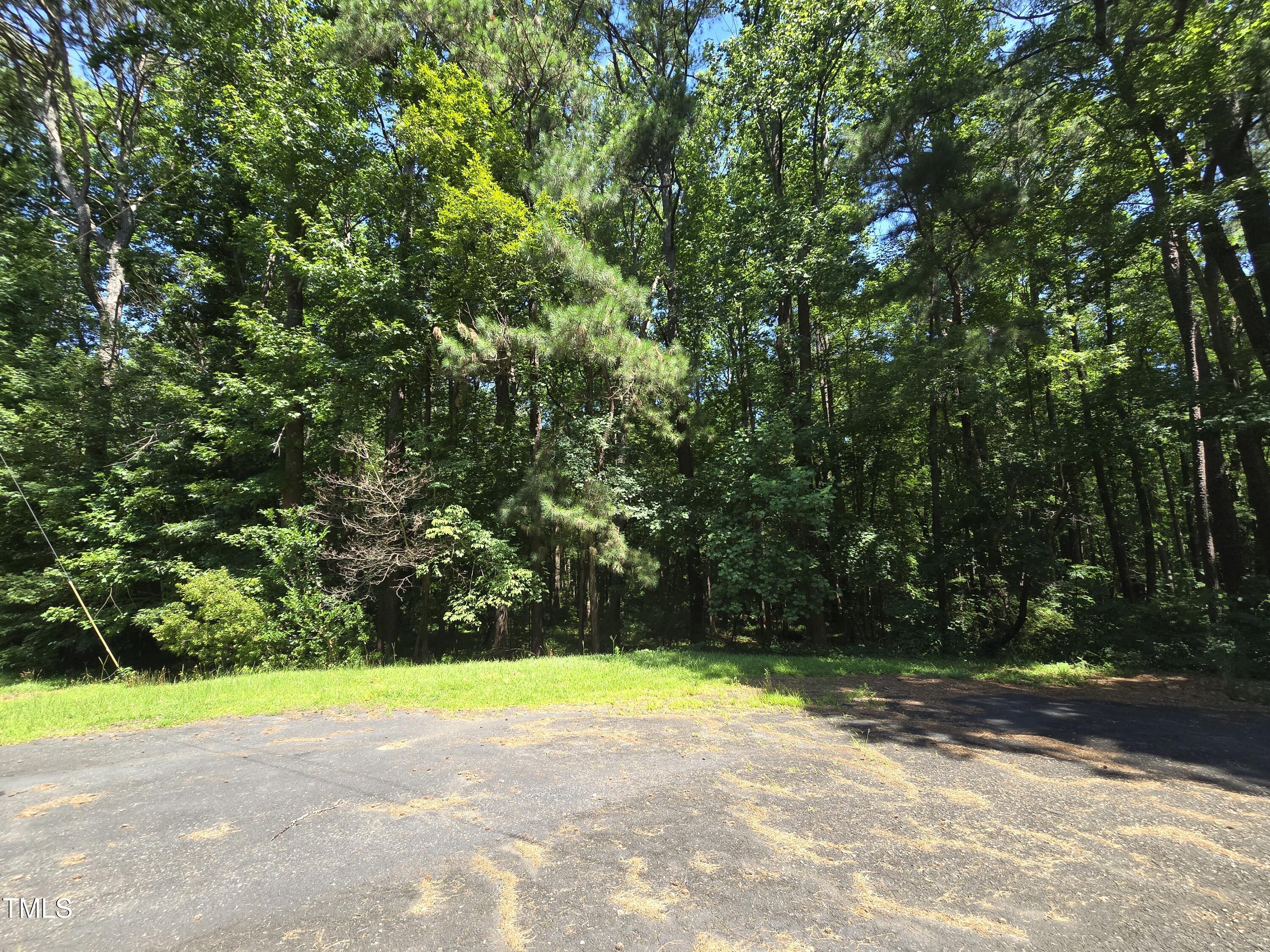 1337 Carroll Heights Road Zebulon, NC 27597 - Photo 9 of 9 a view of a yard with a house and trees