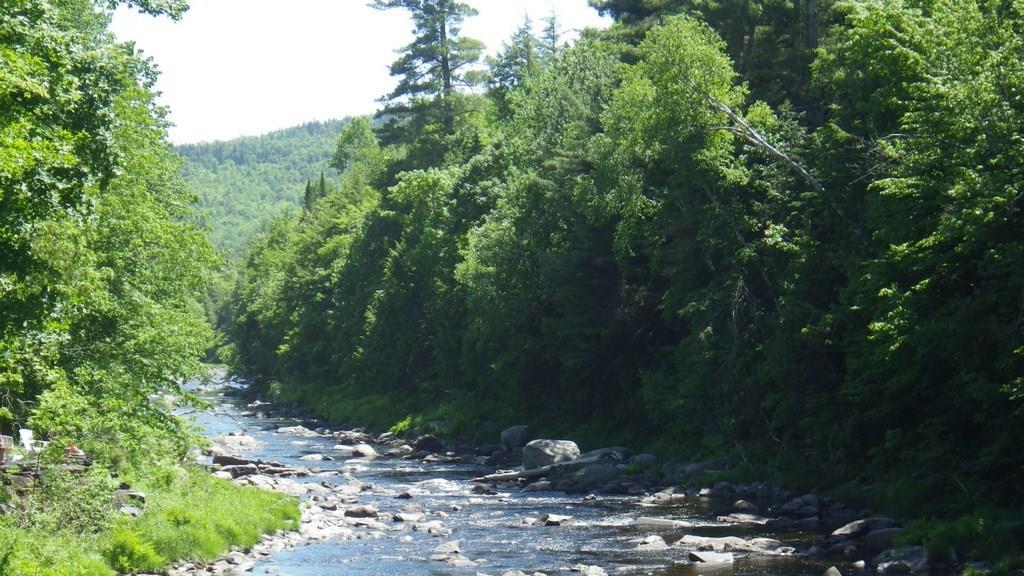 16 Church Road Abbot, ME 04406 - Photo 34 of 35 Photo