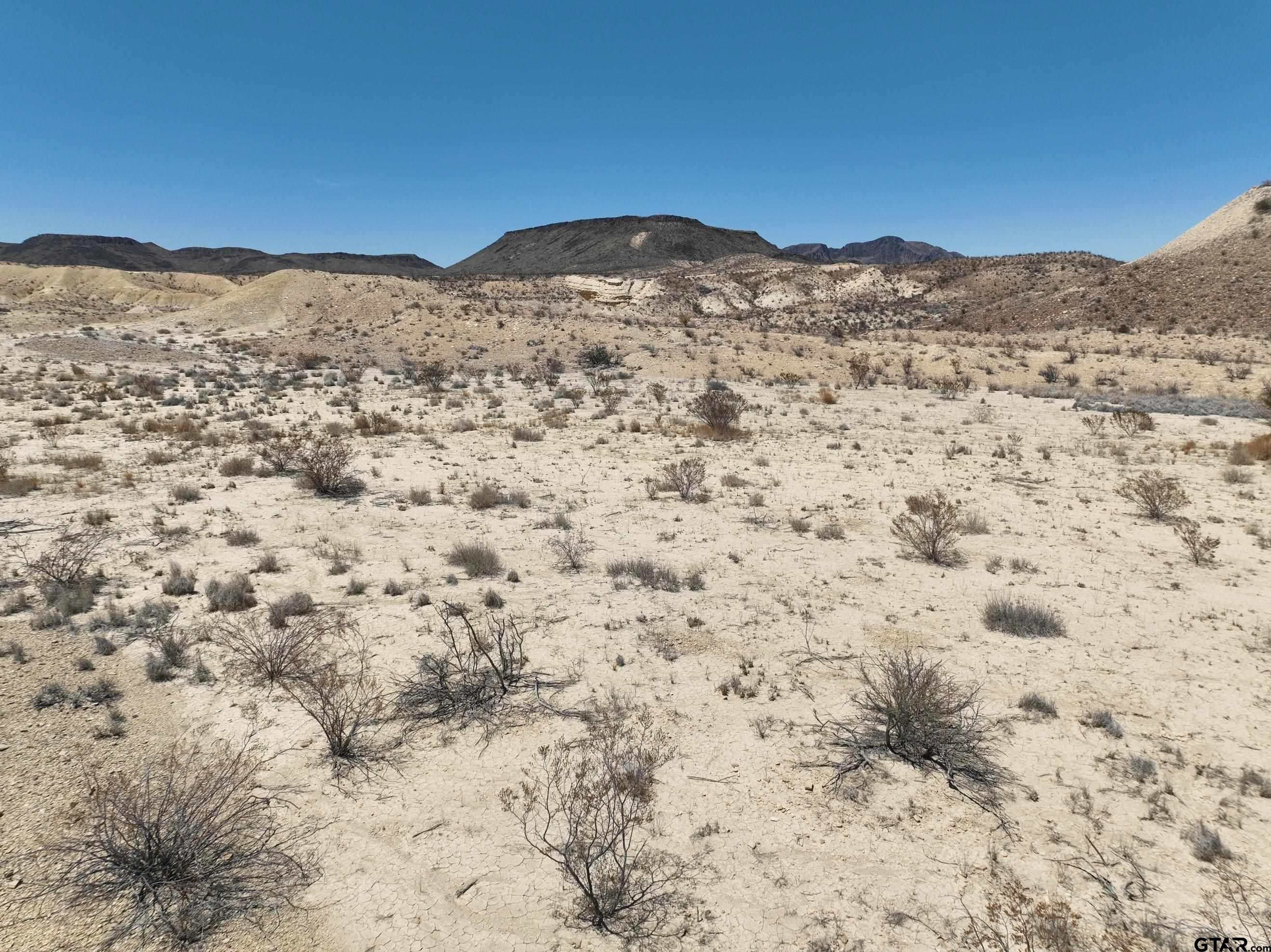 26549 Box Road Alpine, TX 79830 - Photo 8 of 18 a view of a yard with a mountain in the background