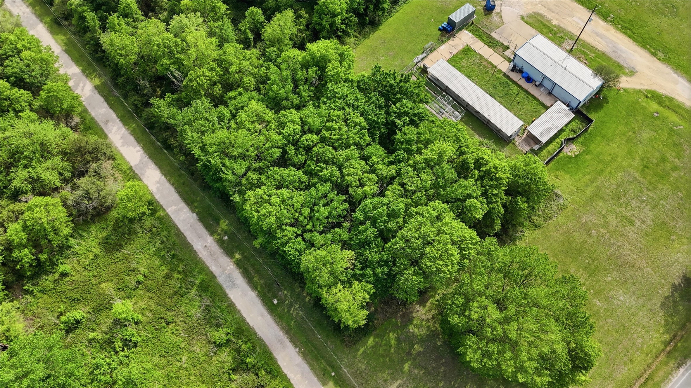 515 Off Spur Navasota, TX 77868 - Photo 9 of 13 a view of a yard with plants