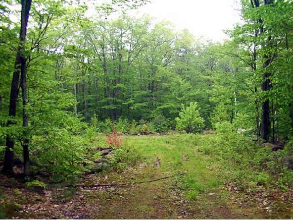 Lot 5 Shaker Farm Road South Marlborough, NH 03455 - Photo 1 of 2 Gallery Image 1