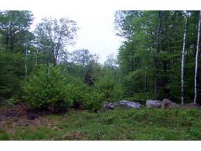 Lot 5 Shaker Farm Road South Marlborough, NH 03455 - Photo 2 of 2 Gallery Image 2