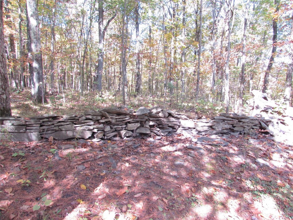 1164 Sprague Road Waverly, NY 14892 - Photo 34 of 39