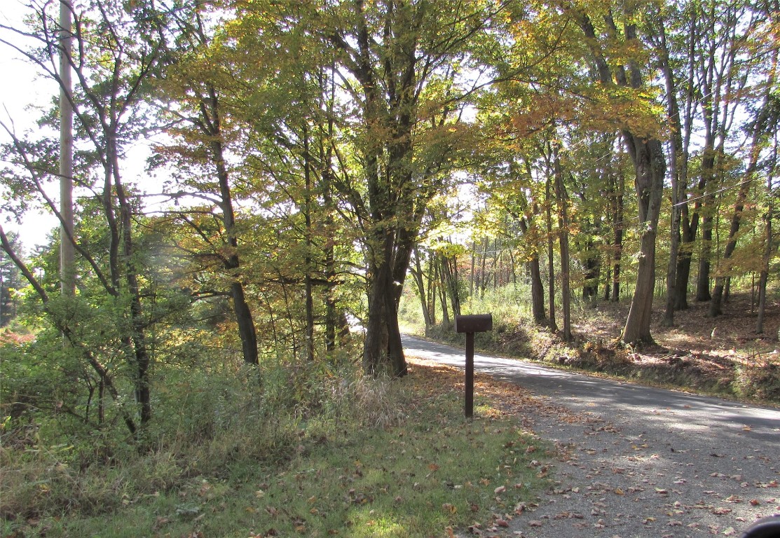 1164 Sprague Road Waverly, NY 14892 - Photo 37 of 39