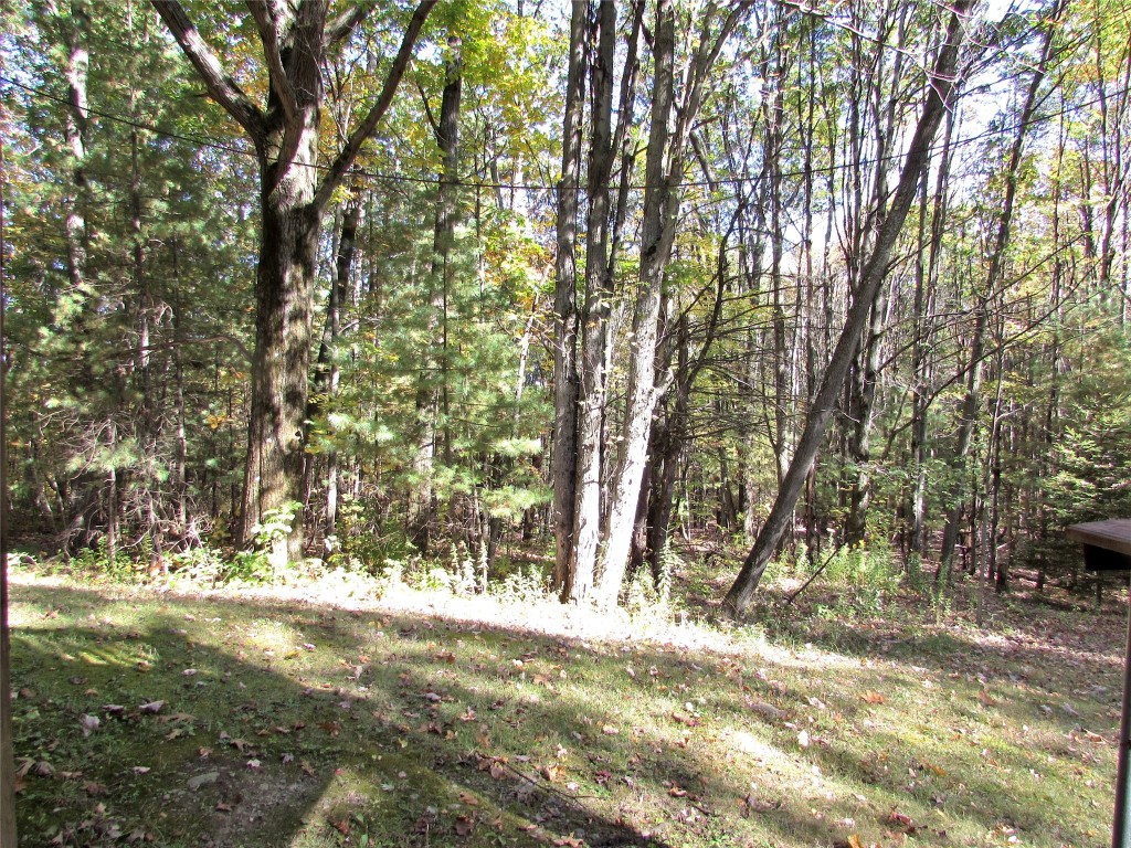 1164 Sprague Road Waverly, NY 14892 - Photo 39 of 39