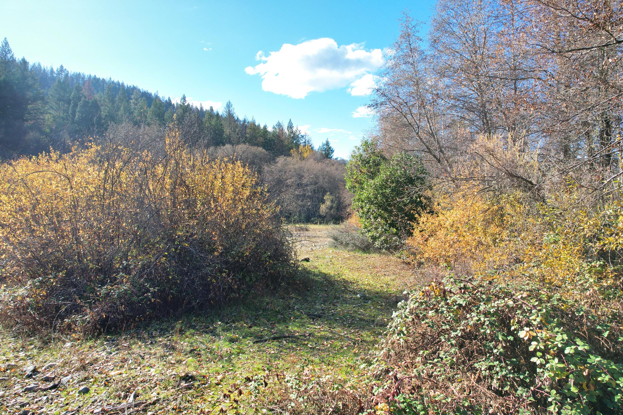 North Applegate Road Jacksonville, OR 97530 - Photo 26 of 51 path to lower SW portion by river
