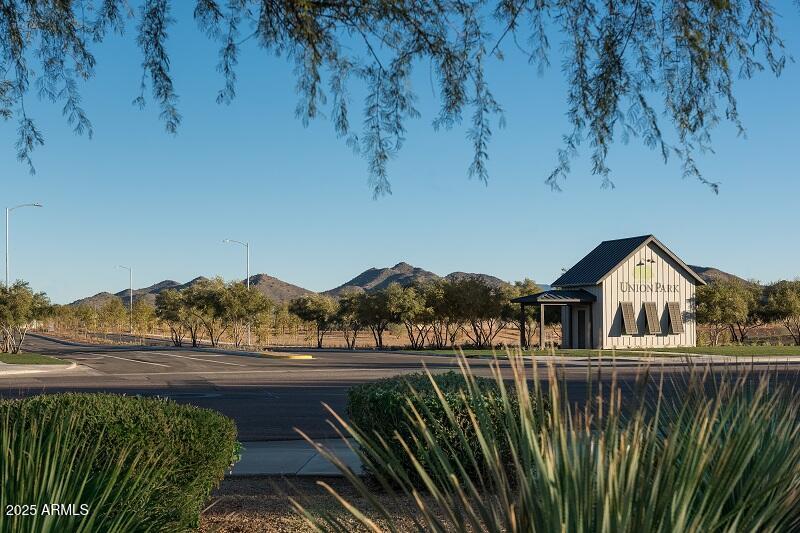 2232 West Chisum Trail Phoenix, AZ 85085 - Photo 27 of 75 a view of a swimming pool with a yard and plants
