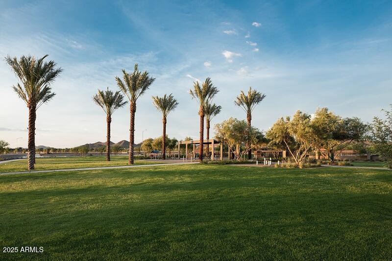2232 West Chisum Trail Phoenix, AZ 85085 - Photo 56 of 75 a view of a park with palm trees