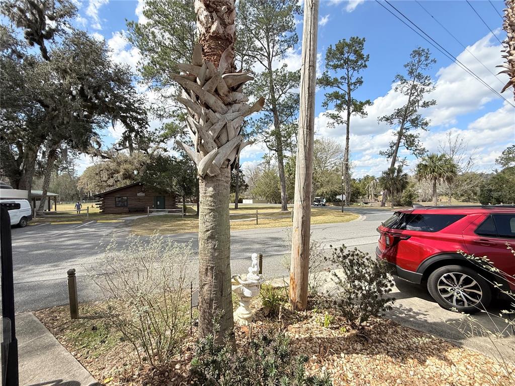 2875 Northeast 102nd Ave Road Silver Springs, FL 34488 - Photo 18 of 68 a view of a yard with car parked on the road