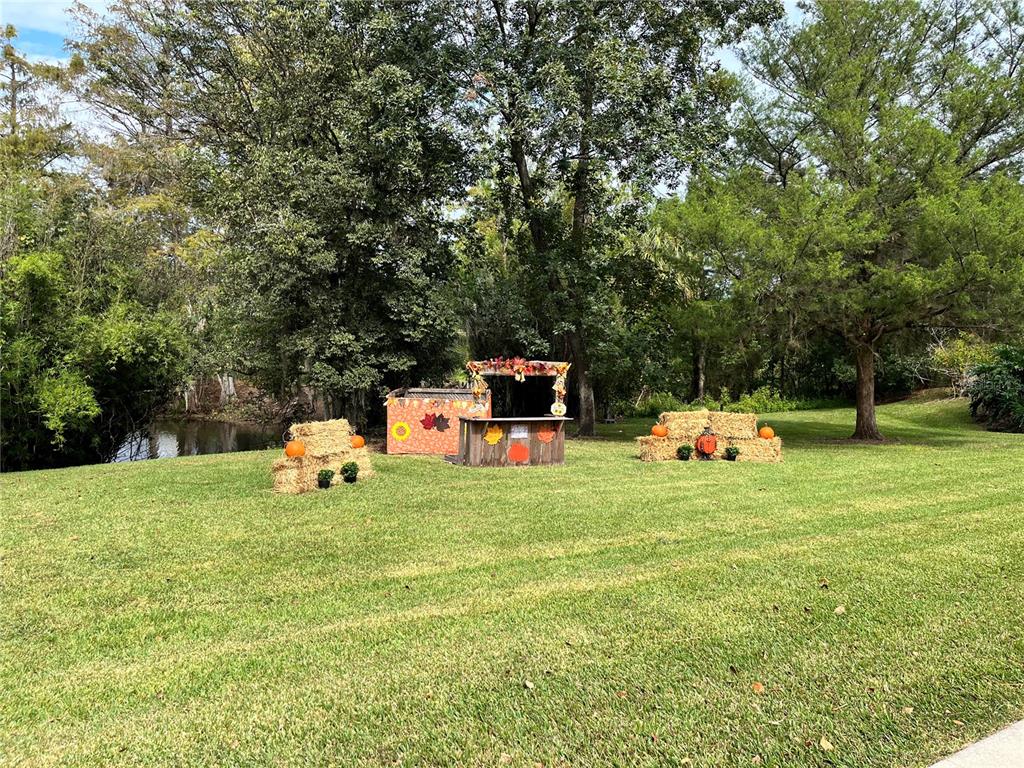 2875 Northeast 102nd Ave Road Silver Springs, FL 34488 - Photo 52 of 68 a backyard of a house with table and chairs