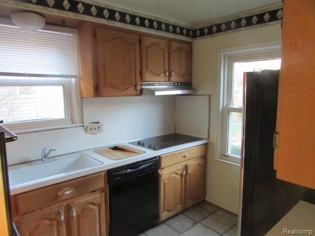 20470 Picadilly Road Detroit, MI 48221 - Photo 5 of 7