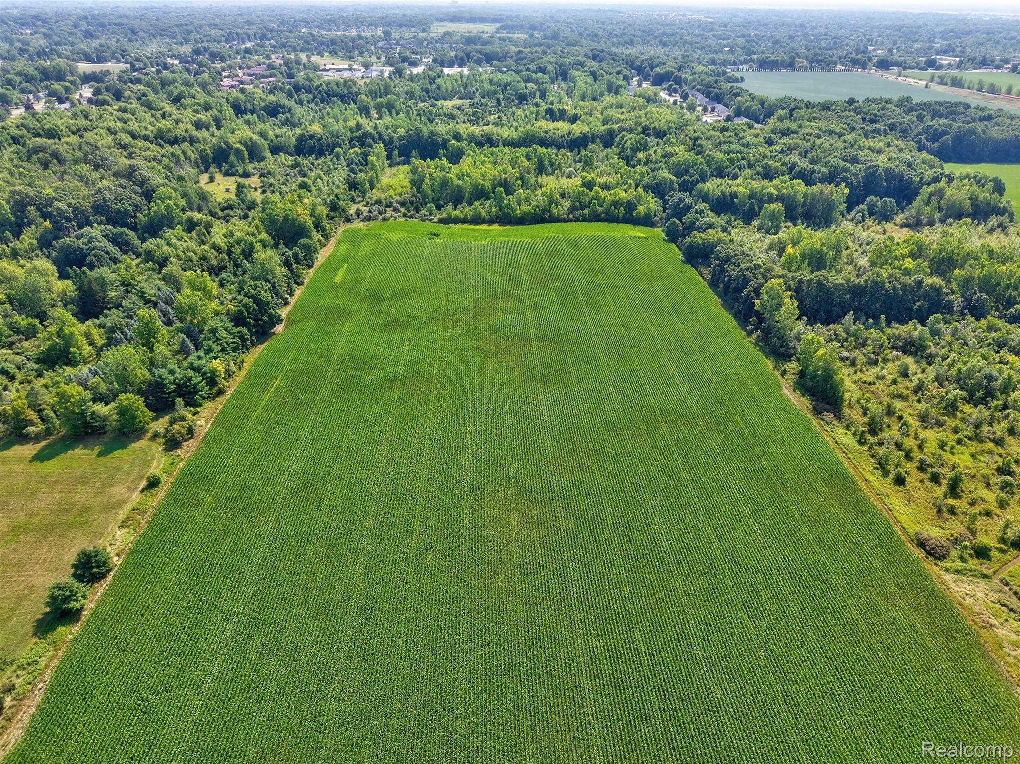 1175 South Morrish Road Flint, MI 48532 - Photo 55 of 72 Expansive agricultural field with verdant crops, bordered by mature woodlands