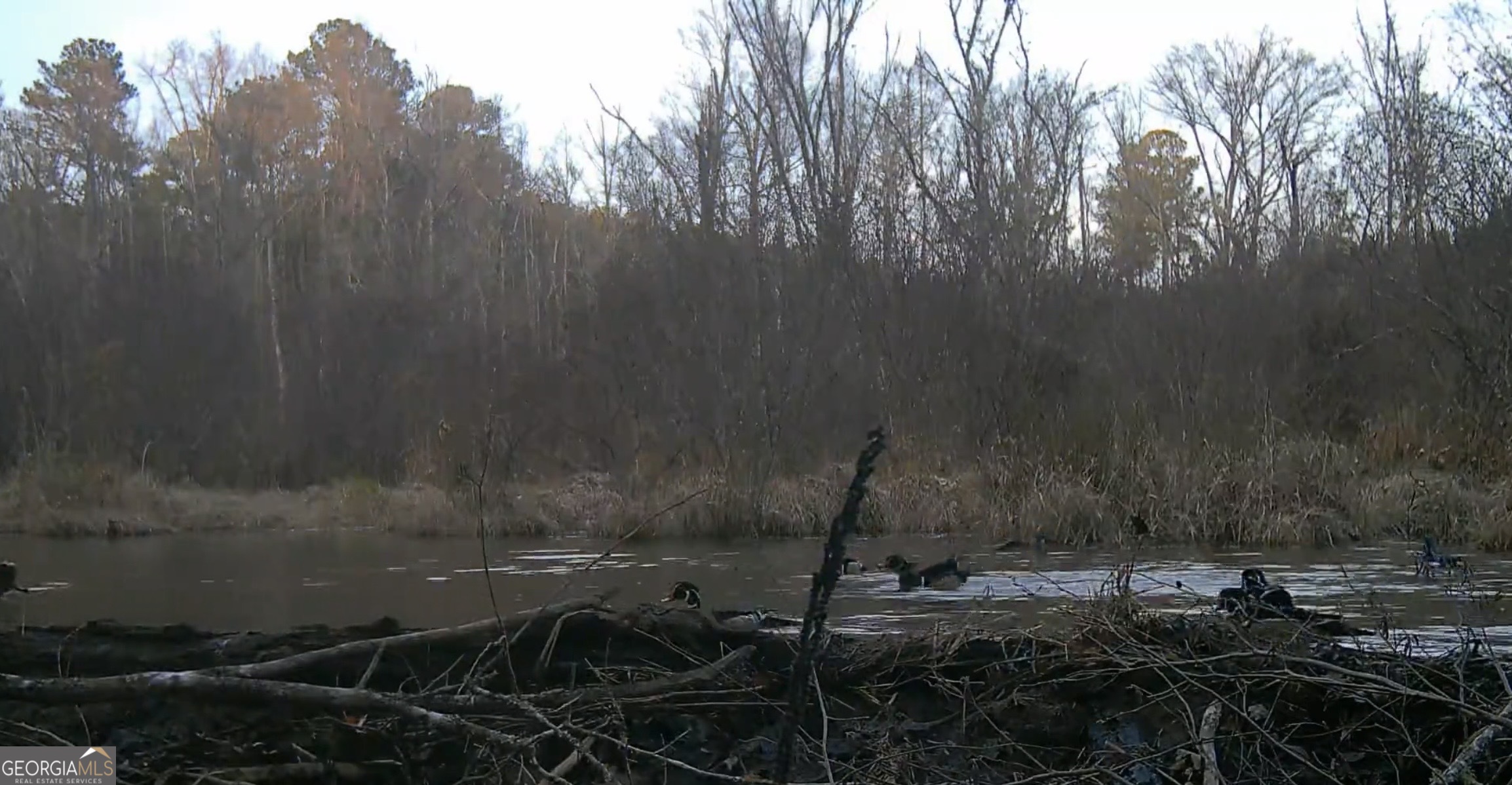 0 Bevis Road Franklin, GA 30217 - Photo 26 of 36