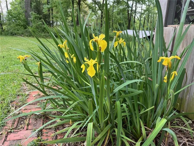 $169,000 | 674 Boggy Bayou Road, Marksville, LA 71351