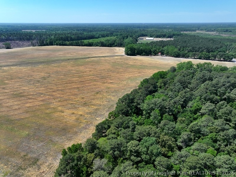 Tbd North Duffie Road Red Springs, NC 28377 - Photo 4 of 24