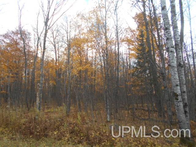 Tbd Dream Lake Road Florence, WI 54121 - Photo 1 of 10
