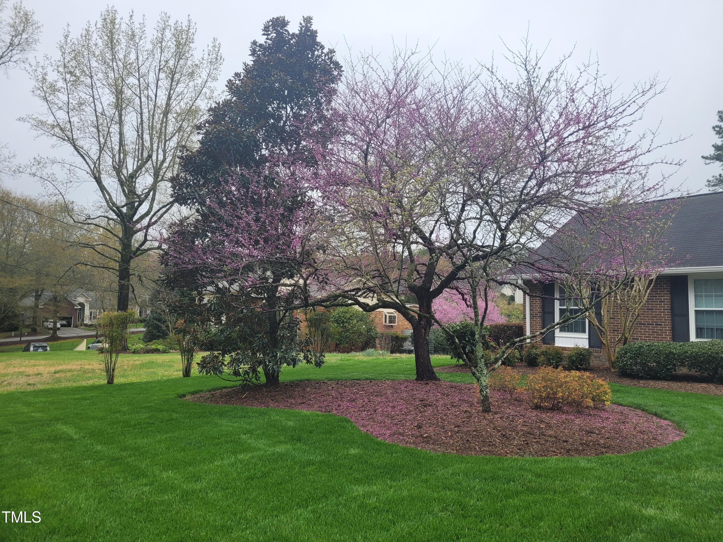3621 Cole Mill Road Durham, NC 27712 - Photo 22 of 23 2- Front Yard