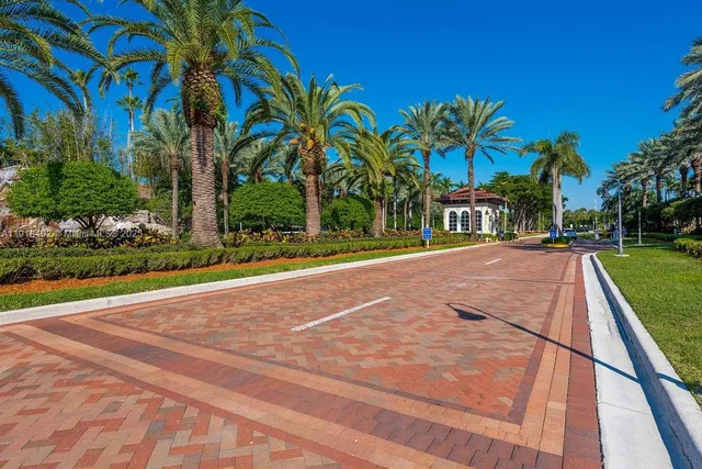 a view of a swimming pool with a lawn chairs under palm trees