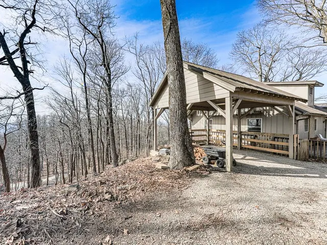 a view of a trees with a big yard