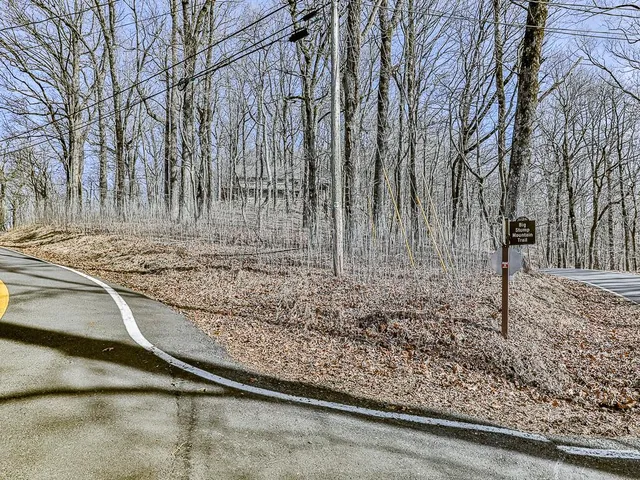 a swimming pool with lots of green space and fog