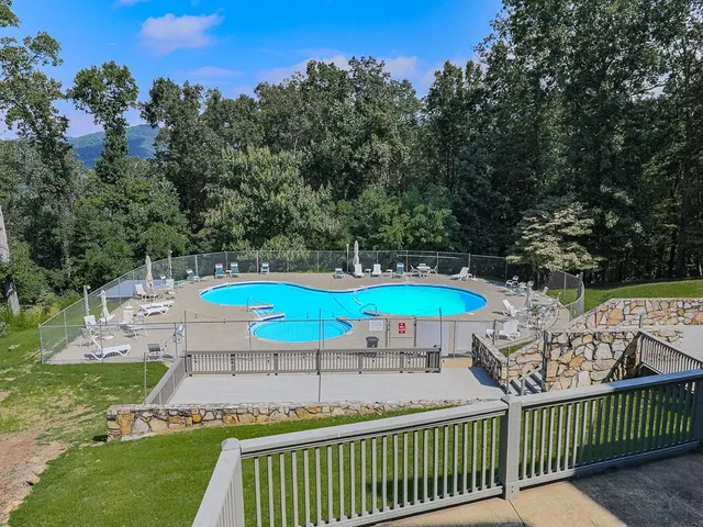 a view of a garden with a slide