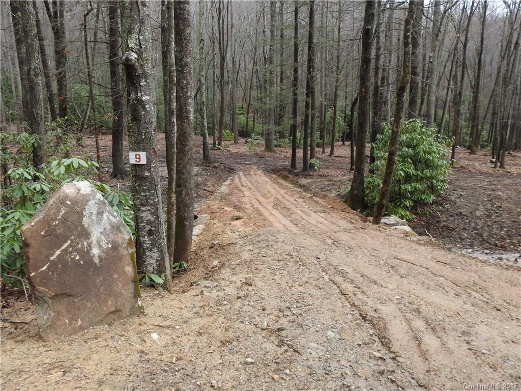 1016 Wash Freeman Road Hendersonville, NC 28792 - Photo 4 of 5 Gallery Image 4