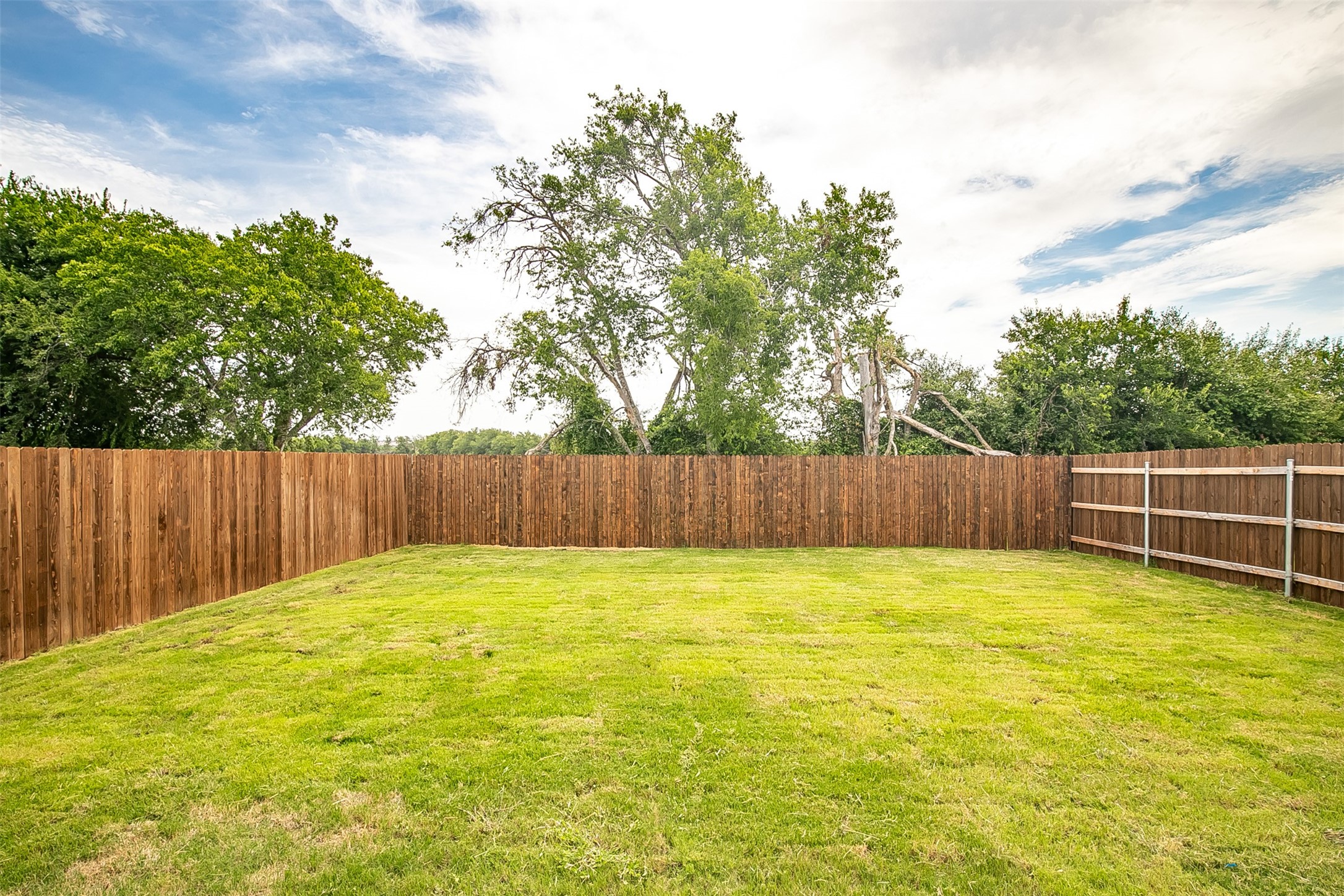 812 Black Alder Street Georgetown, TX 78626 - Photo 29 of 32
