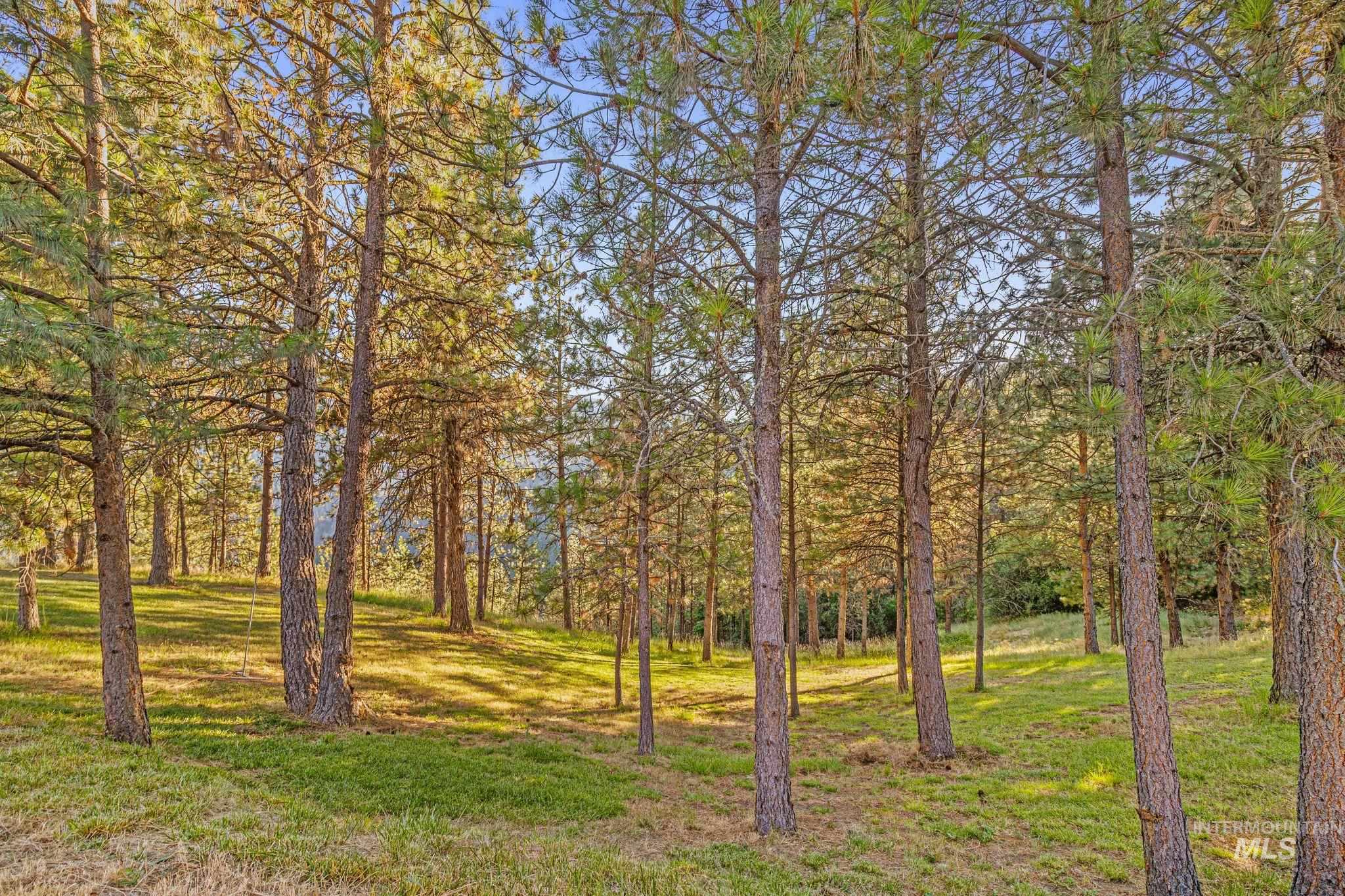 435 River Pointe Lane Lenore, ID 83541 - Photo 38 of 50 Outdoor patio space featuring a gravel surface, surrounded by mature evergreen trees