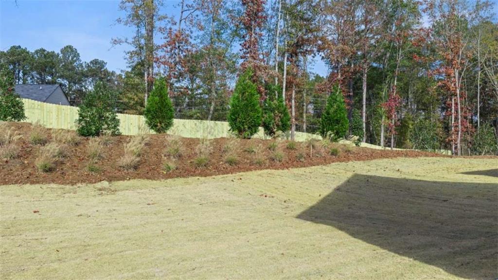 86 Holland Cove Winder, GA 30680 - Photo 5 of 39