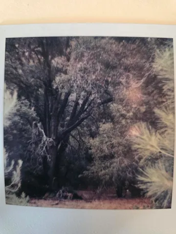 a close up of a wall