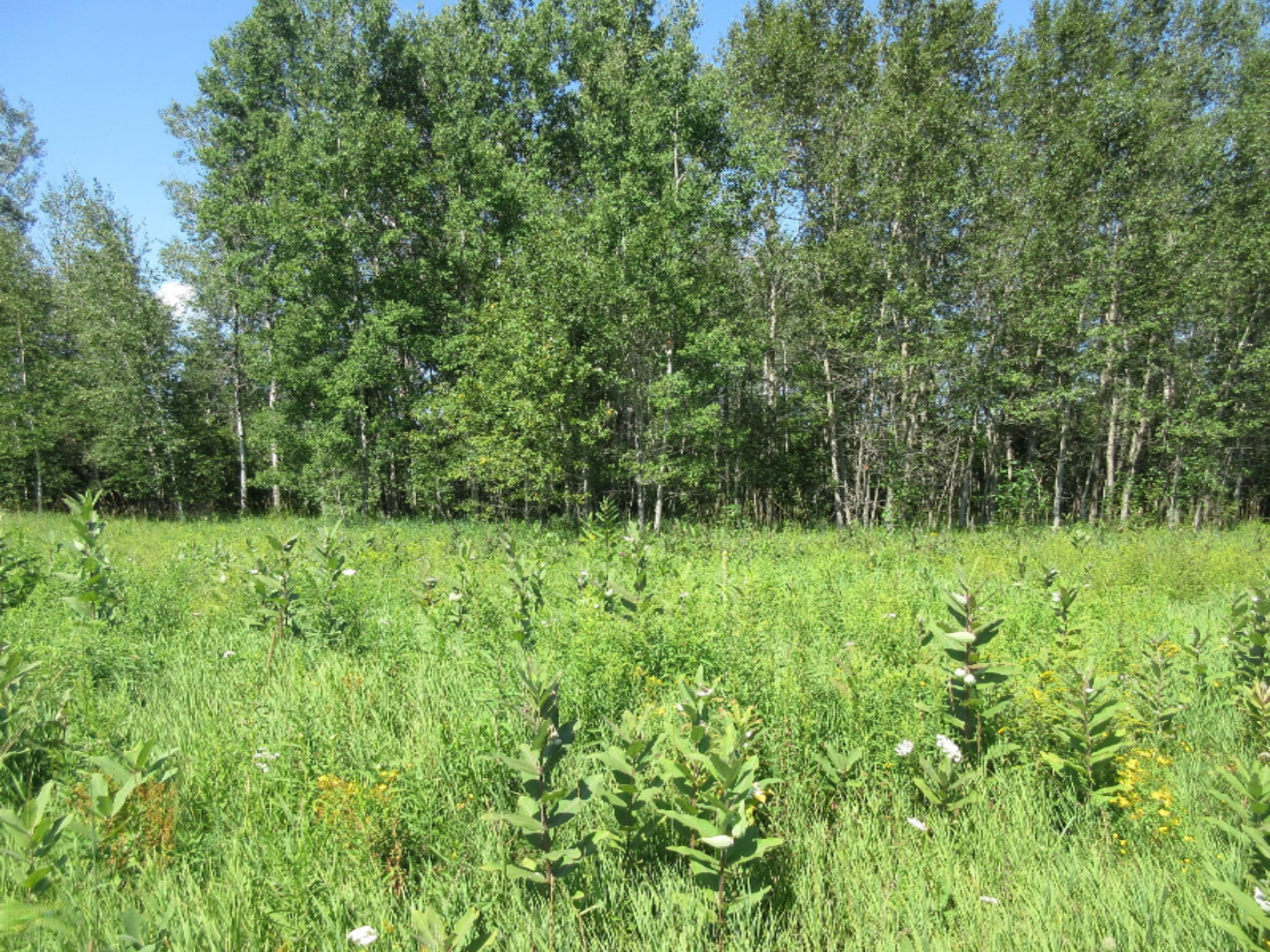 1422 Brinks Road Marion, MI 49665 - Photo 25 of 44 IMG_7249