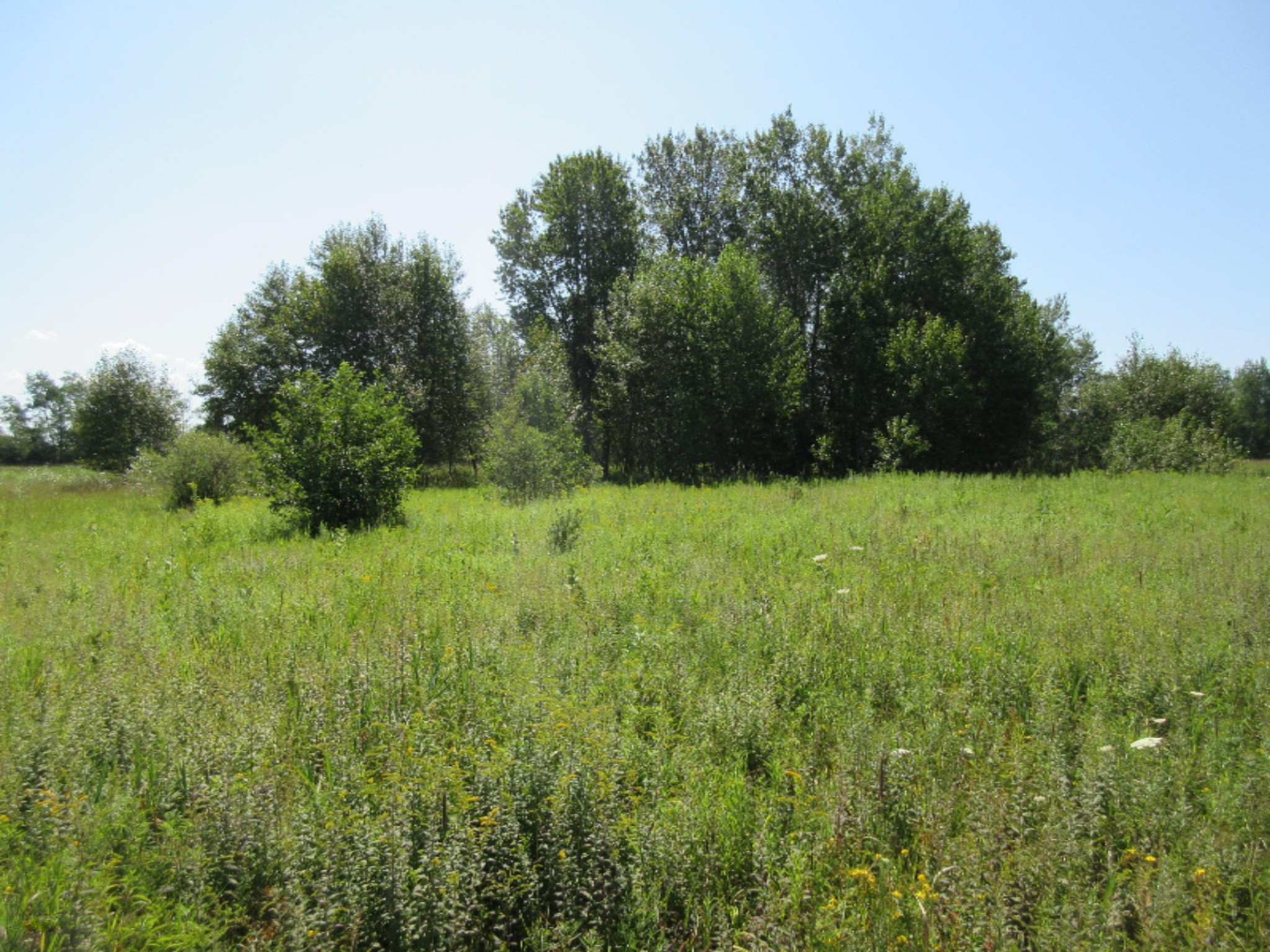 1422 Brinks Road Marion, MI 49665 - Photo 26 of 44 IMG_7252