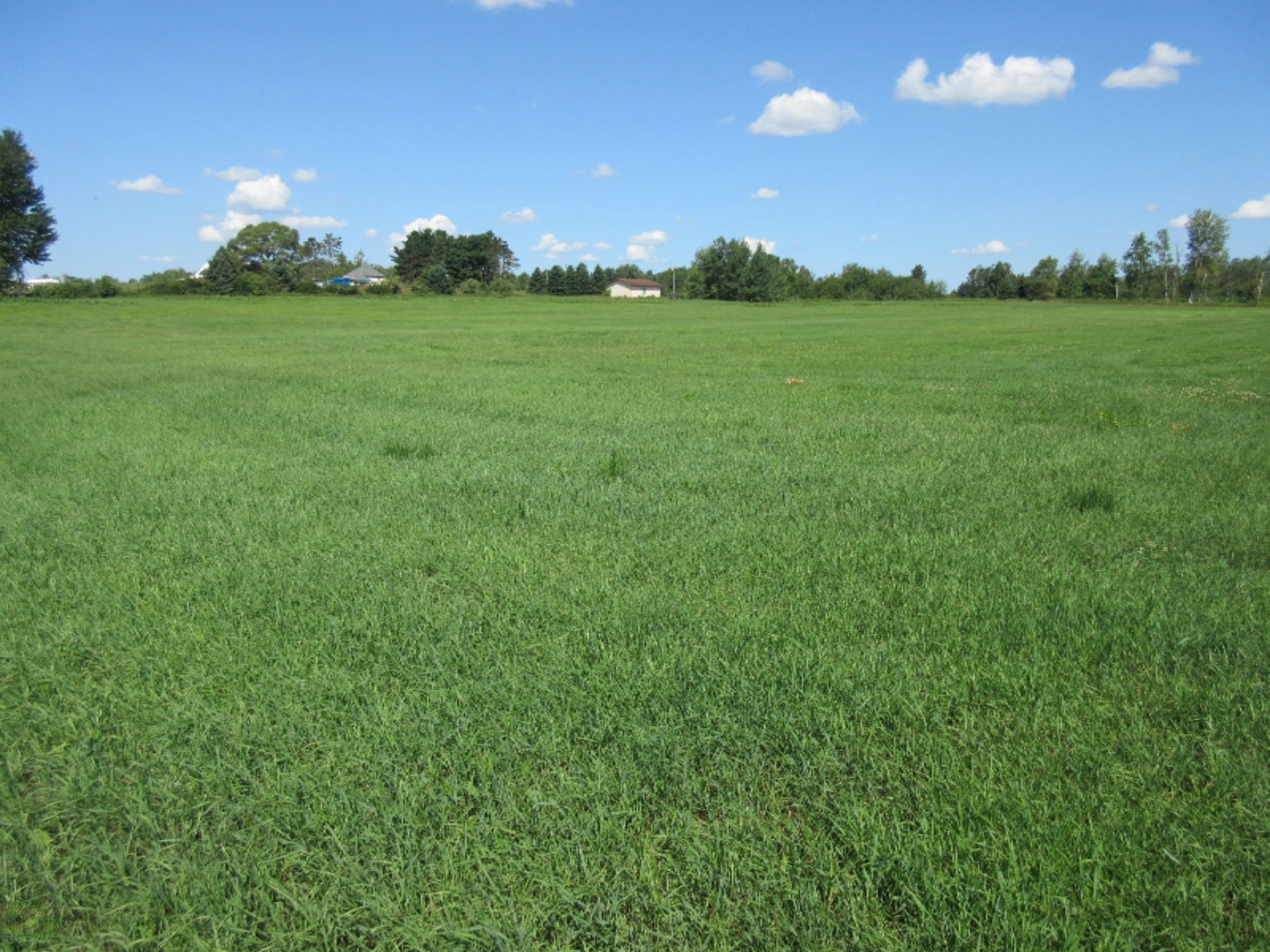 1422 Brinks Road Marion, MI 49665 - Photo 35 of 44 IMG_7272