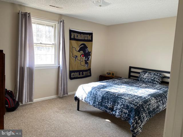 8777 Hunt Trail Warrenton, VA 20187 - Photo 12 of 13 Basement Bedroom 1