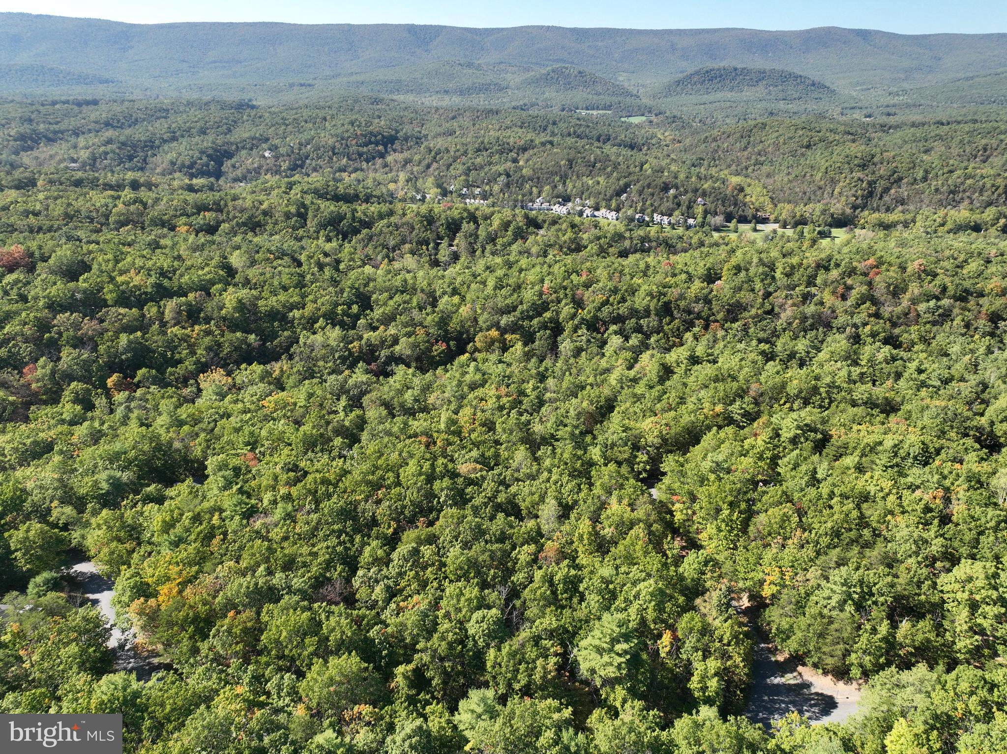 Dale Mount Jackson, VA 22842 - Photo 2 of 9