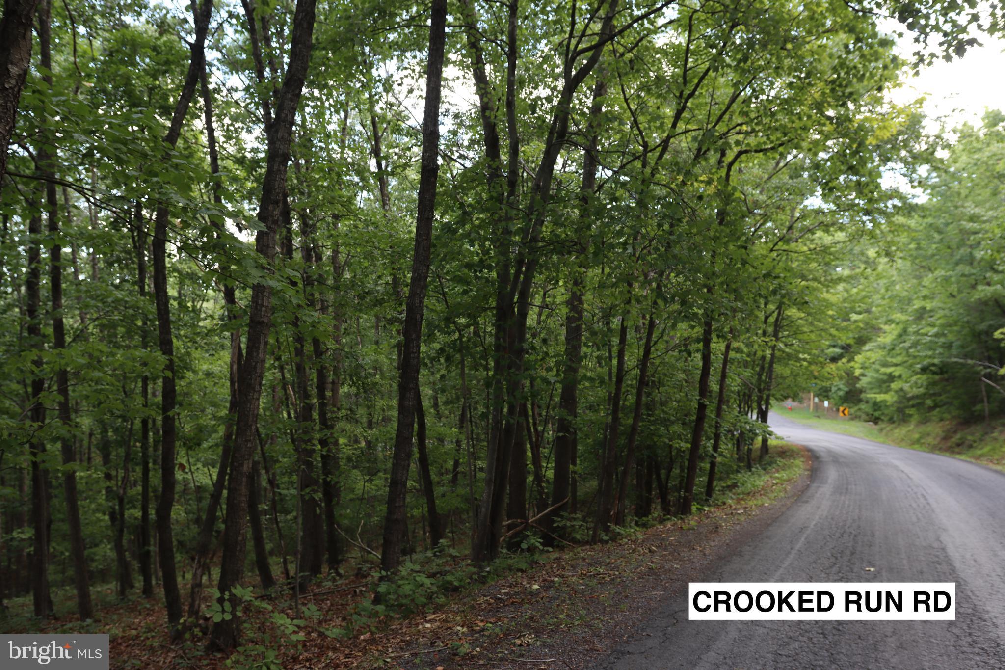 Dale Mount Jackson, VA 22842 - Photo 3 of 9