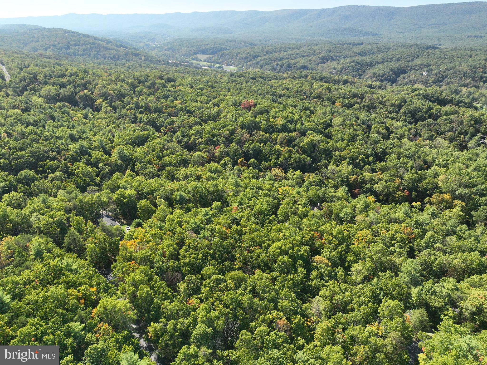 Dale Mount Jackson, VA 22842 - Photo 4 of 9
