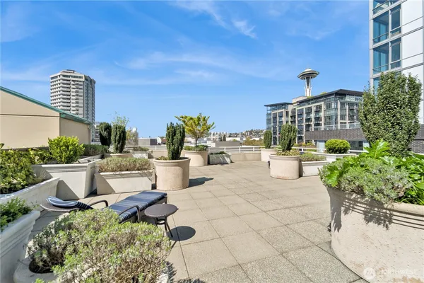 a view of a patio with couches table and chairs and potted plants