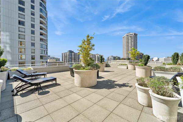 a view of a terrace with chairs and potted plants
