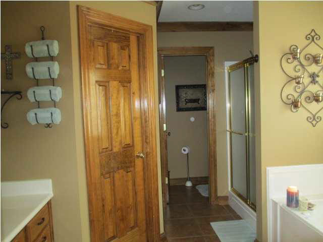 2228 Cleary Road Florence, MS 39073 - Photo 14 of 19 Master Bath