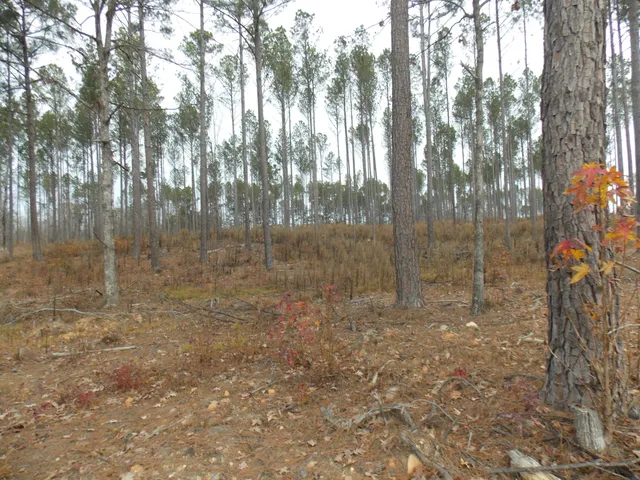 $134,400 | 4 East Mosley Road, Lincolnton, GA 30817