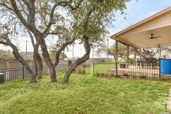 a view of yard with tree