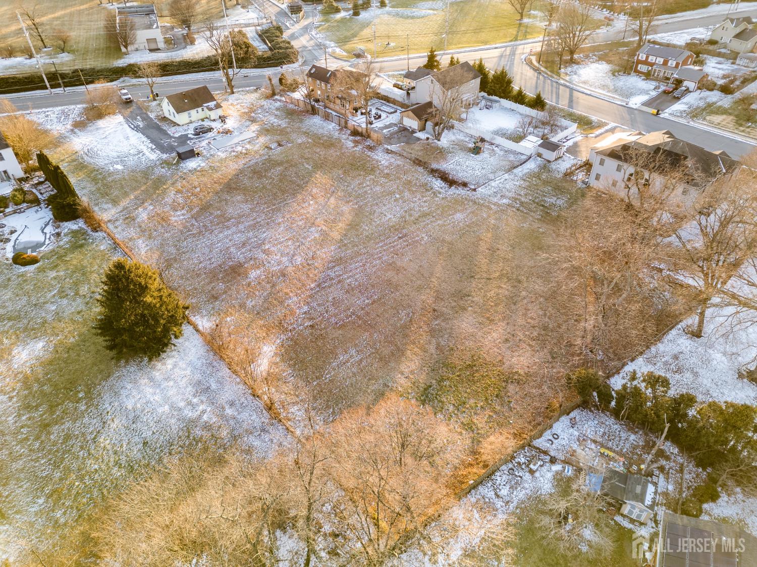 a view of the tree of snow